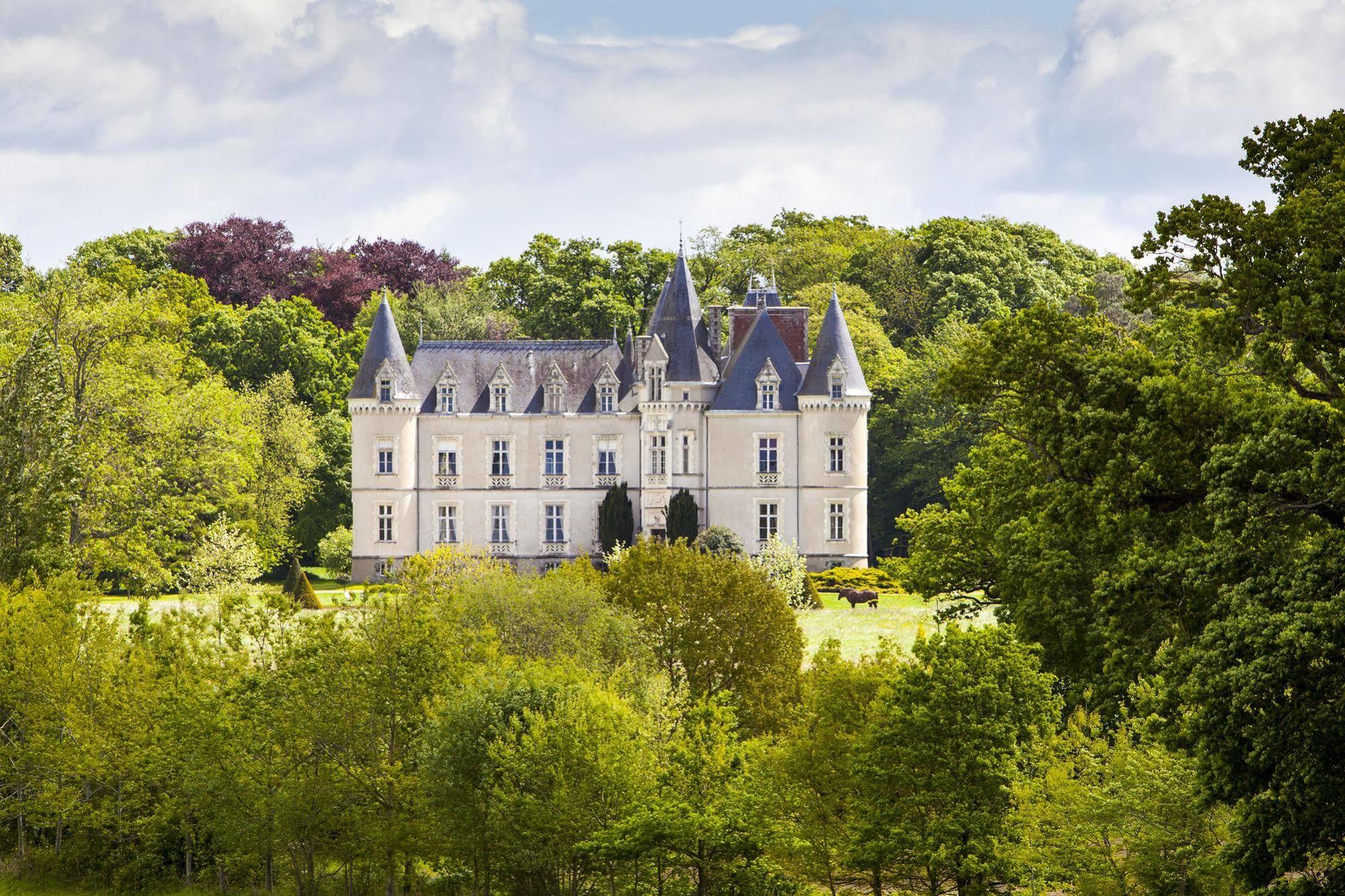 Chateau Des Tesnieres Bed and Breakfast Rennes Esterno foto